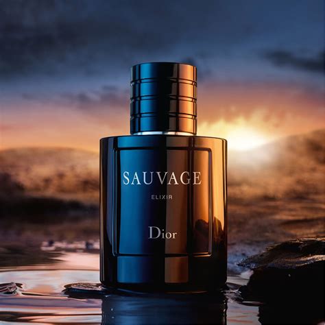 dior sauvage elixir ноты|sauvage elixir dior для мужчин.